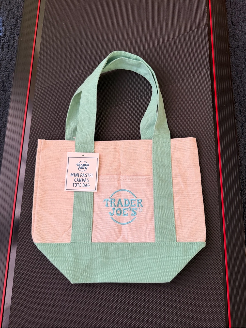Brand New Trader Joe's Mini Pastel Green Canvas Tote Bag With Tag